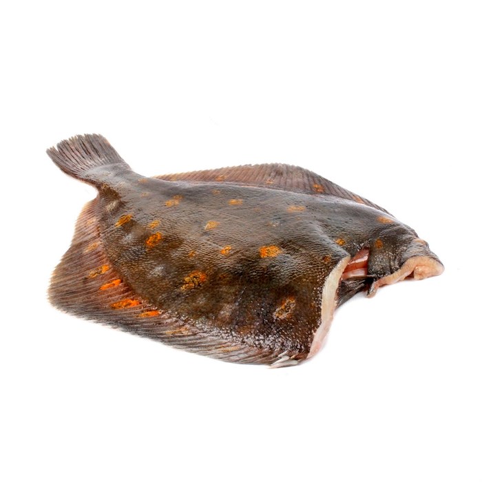 Камбала 1,0 с/м потр б/г, IQF, 1/10 (ЛД) 03047 - фото 342