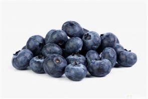 Черника с/м ПТ02479