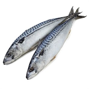 Скумбрия с/м (ДД) 35850