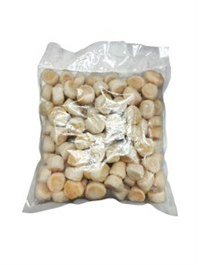 Гребешок морской мелкий (М) (ДД) 483